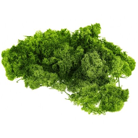 Muschio Nordico colorato decorazione per presepe natalizio da 1,5 kg -Verde Oliva