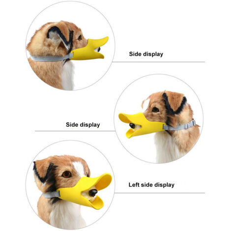 Muselière Anti-Bite Silicone Canard Taille S (1.5-3.5kg) pour Chien