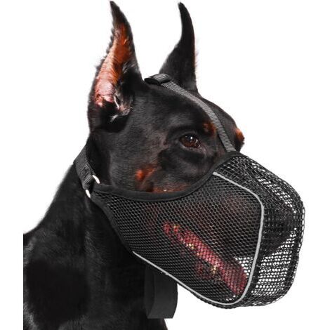 Muselière noire pour chien, taille L, monobloc. Anti-léchage, respirante et ajustable pour boire de l'eau.