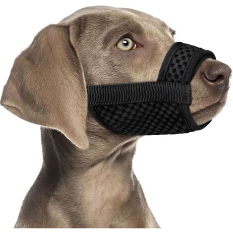 Muselière noire taille M avec tissu en maille respirante Dispositif anti-morsure et anti-aboiement pour animaux de compagnie