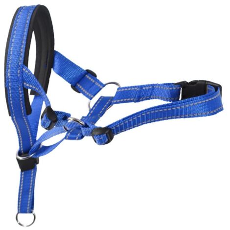 Museruola per animali domestici, 36-50 cm, blu