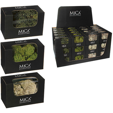 MICA DECORATIONS PLANTAS DE MUSGO ARTIFICIAL SURTIDAS 50GR. MACETA. PLANTAS ARTIFICIALES PARA ADORNO EN CASA, OFICINA, JARDIN, ETC.