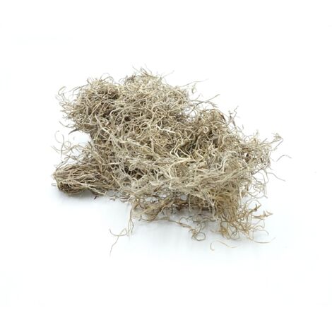 Musgo BioSpain Musgo español 25g