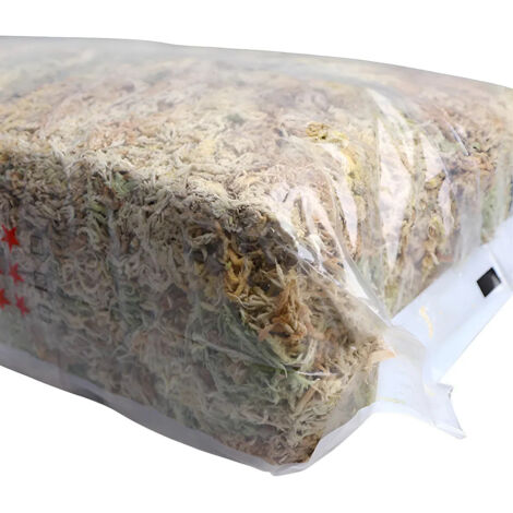 Musgo Pour Plantas En Macetas Musgo Seco Sphagnum Mezcla D
