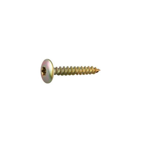 MUSTAD Panelvit FC Tornillo de cabeza de bisagra - Torx - Ø7x60mm - Cromado - Caja de 100 - PV057A700600C8C