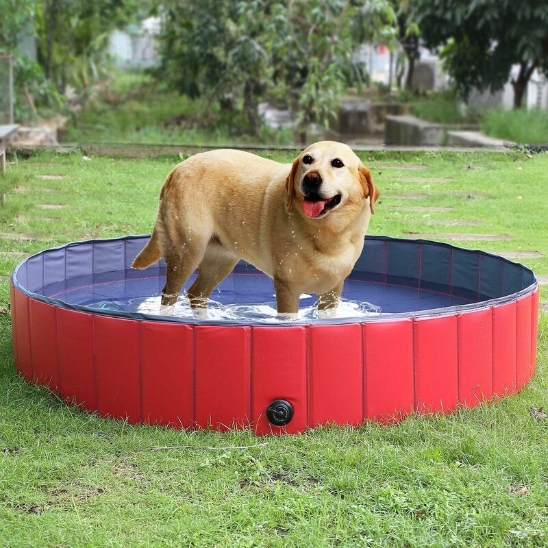 

Piscina para perros plegable grande Piscina Baño Piscina para perros Baño para perros / gatos Exterior o interior (160 * 30cm) Rojo - Mvpower