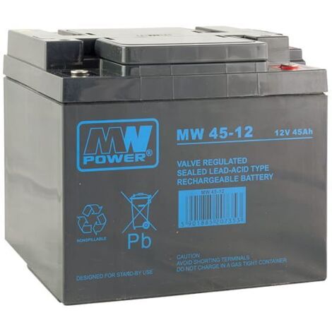 MW 45-12 : Batterie AGM 12V/45Ah, 198166171 (T16)