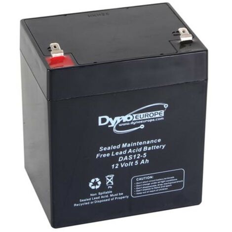 MWS 5-12 : Batterie VRLA AGM 12 V/5 Ah