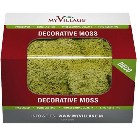 My Village MY VILLAGE - Materiale decorativo lichene 50gr Cod. MYD30