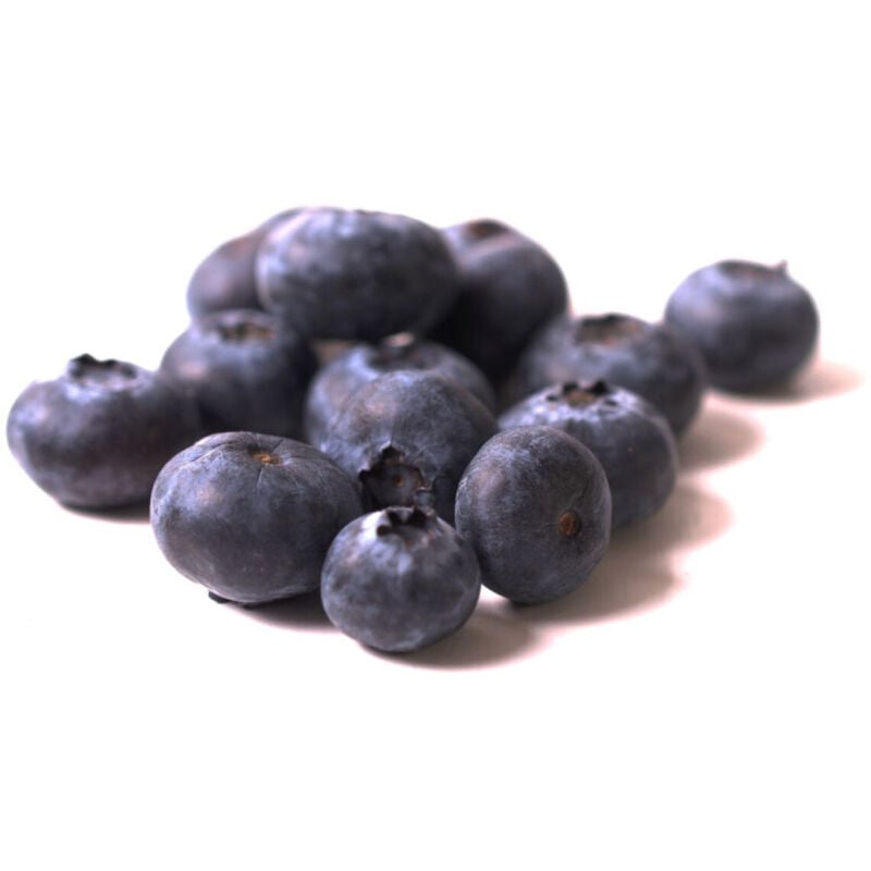 Myrtille Blue Pearl/Pot de 5L