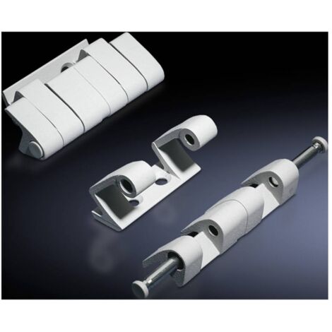 N/A Rittal 8800.190 Zinc moulé sous pression gris clair (RAL 7035) 4 pc(s)