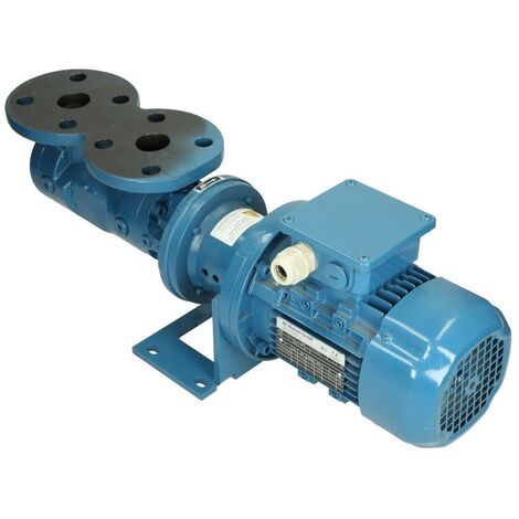 N118/2, pompe à broche hélicoïdale OEG DN 50,13284 l/h pour4 bar,2900 tours/min