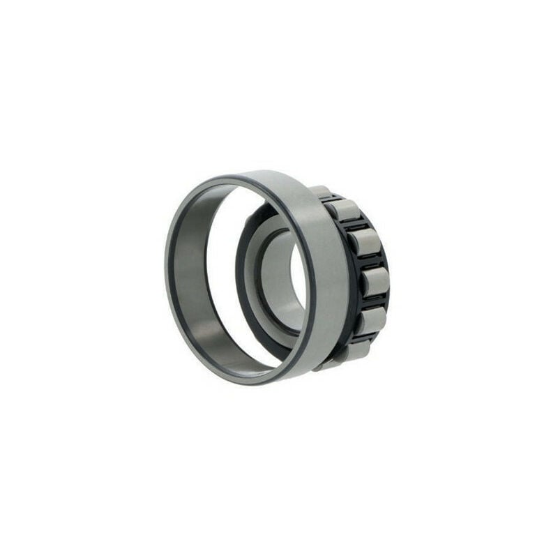 N220 cuscinetto a rulli cilindrici ETVP INT. 100mm...