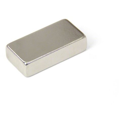 FIRST4MAGNETSTM N42 Magneta Neodimio Per Arti, Mestieri, Produzione Di Modelli, Fai -Da -Te, Hobby, Ufficio E Casa - 40mm x 20mm x 10mm Di Spessore - 21,7kg