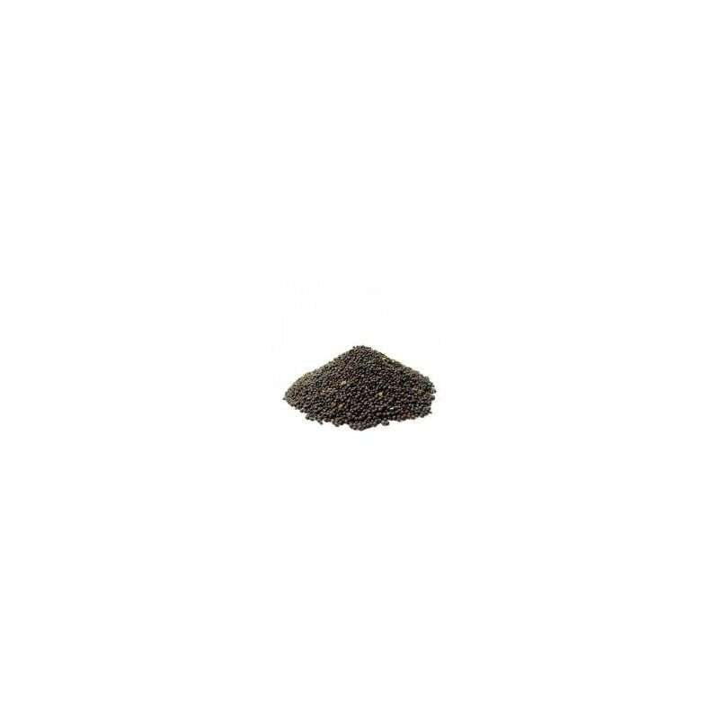

Nabina Roja Germinación 1 kg