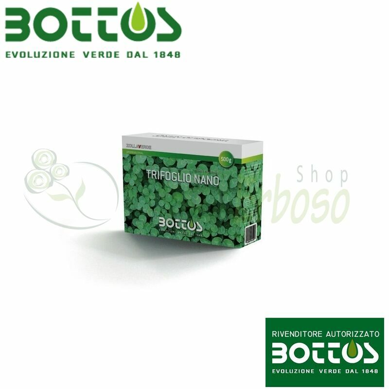 

Nano Clover - Semillas de césped 500 g