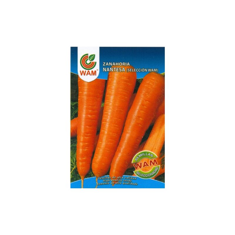 Nantes WAM Semences de carotte - plus de 10 gr.
