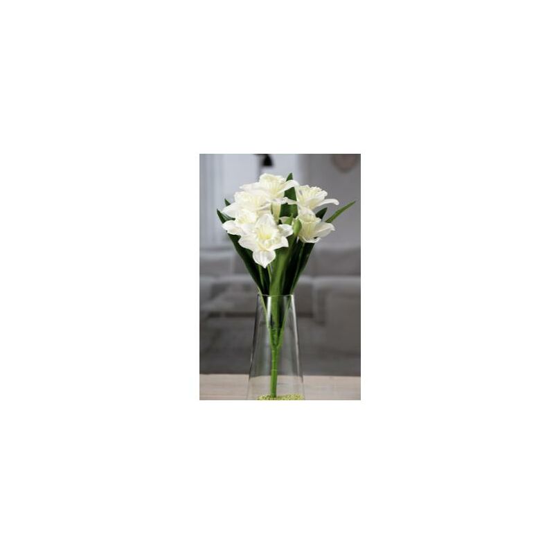 Narciso bianco 7 fiori x dec CM48