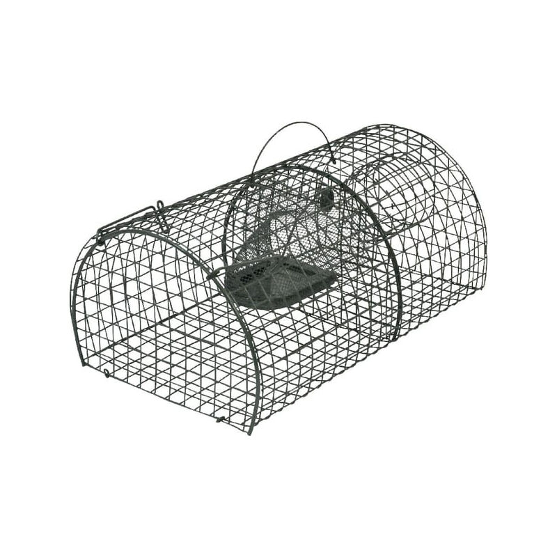 Kerbl - Nasse à rats Alive multi rat