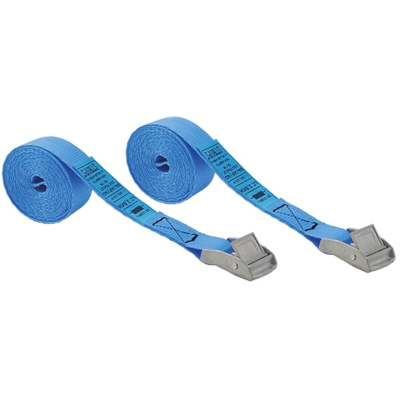 NASTRO DI FISSAGGIO CON FIBBIA mt.2,5 x mm 25 cf