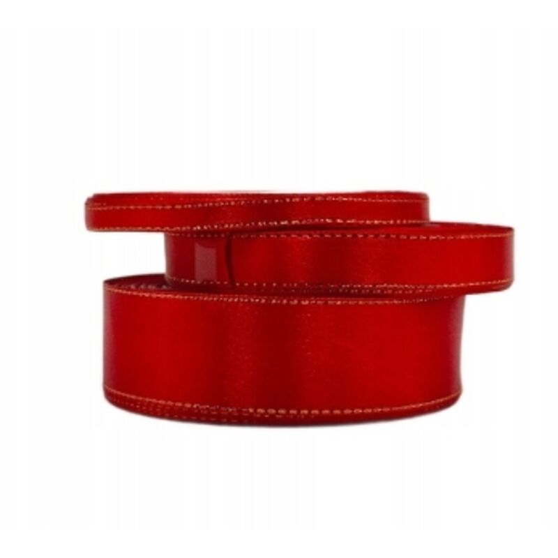 Nastro di raso rosso oro rotolo 25 mm 22 m per decorazione