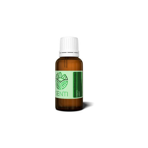 Natürliches ätherisches MINZE-Öl 100 ml