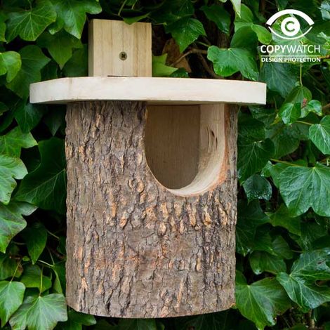 Natural Log Robin Box