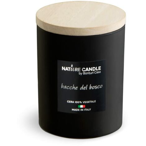 Candele profumate Citronella e Menta 100% cera naturale - Estéban