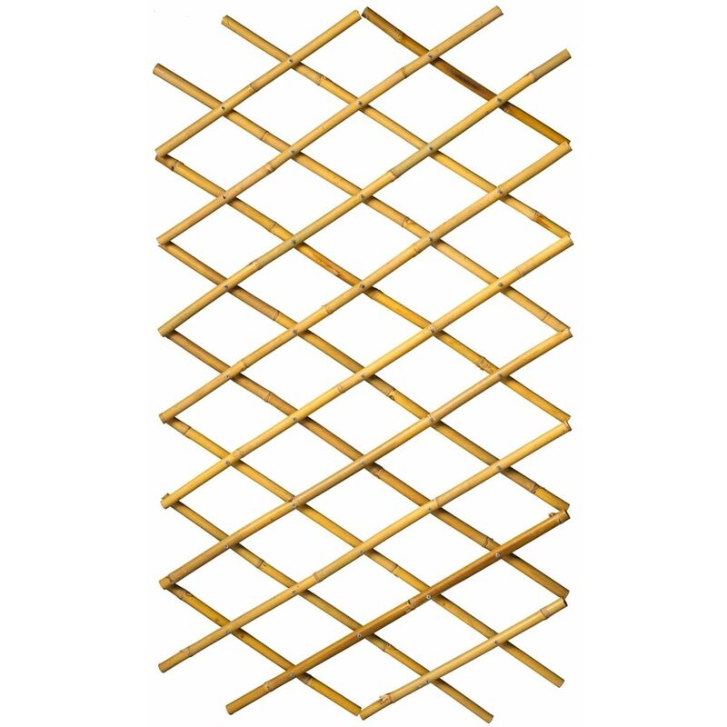 

Nature Enrejado de jardín 100x200 cm bambú 6040722