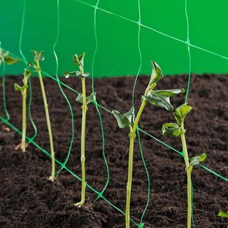 Nature – Filet anti-oiseaux et anti-insectes 10 g/m² – Dimensions 1 x 10 m – Résistant aux UV – Pour soutien de plantes grimpantes - VERT 10 G