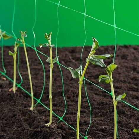 Nature – Filet anti-oiseaux et anti-insectes 2 x 5 m – Polyéthylène extrudé traité anti-UV – Densité 10 g/m² pour soutien des plantes grimpantes - VERT 10 G