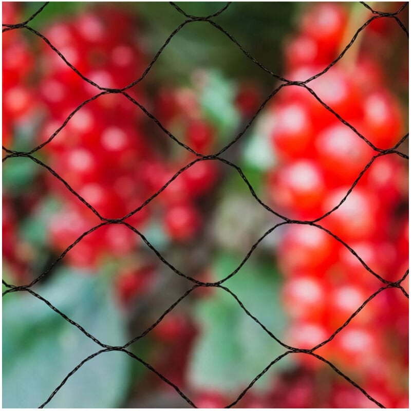 Filet anti-oiseaux NATURE Primo 10 x 10 m Noir