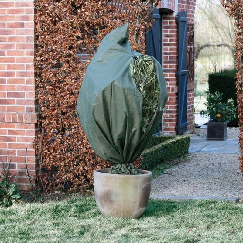 

Nature Funda cubre plantas polar anti-heladas verde 70 g/m² 1,5x2 m