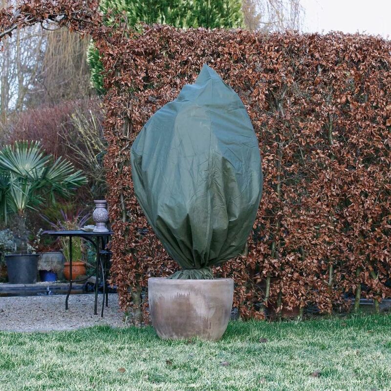 

Nature Funda cubre plantas polar anti-heladas verde 70 g/m² 2x2,5 m