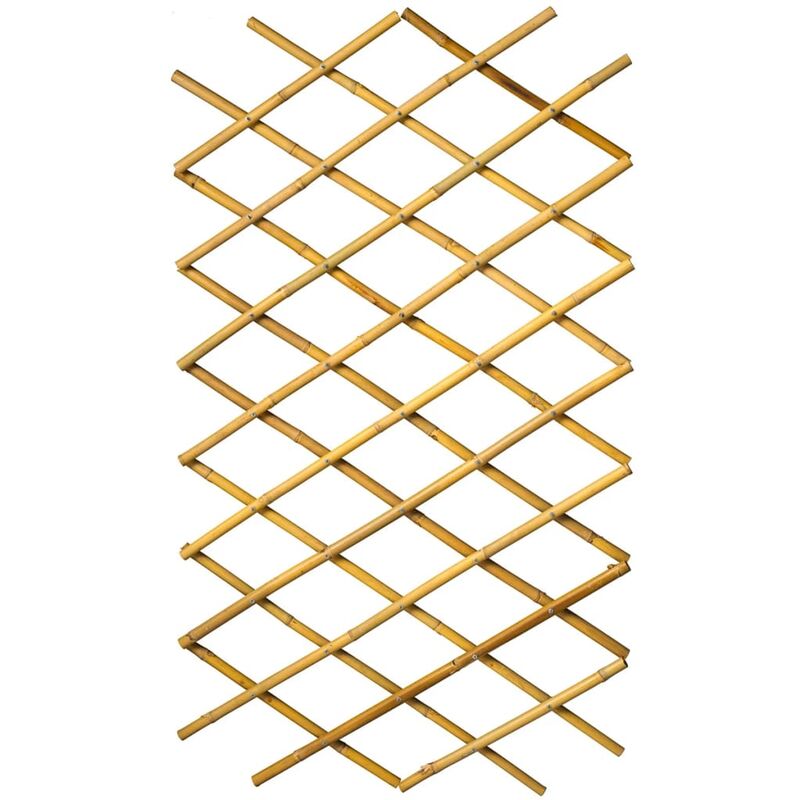 True Deal - Nature Palissade de jardin 70 x 180 cm Bambou