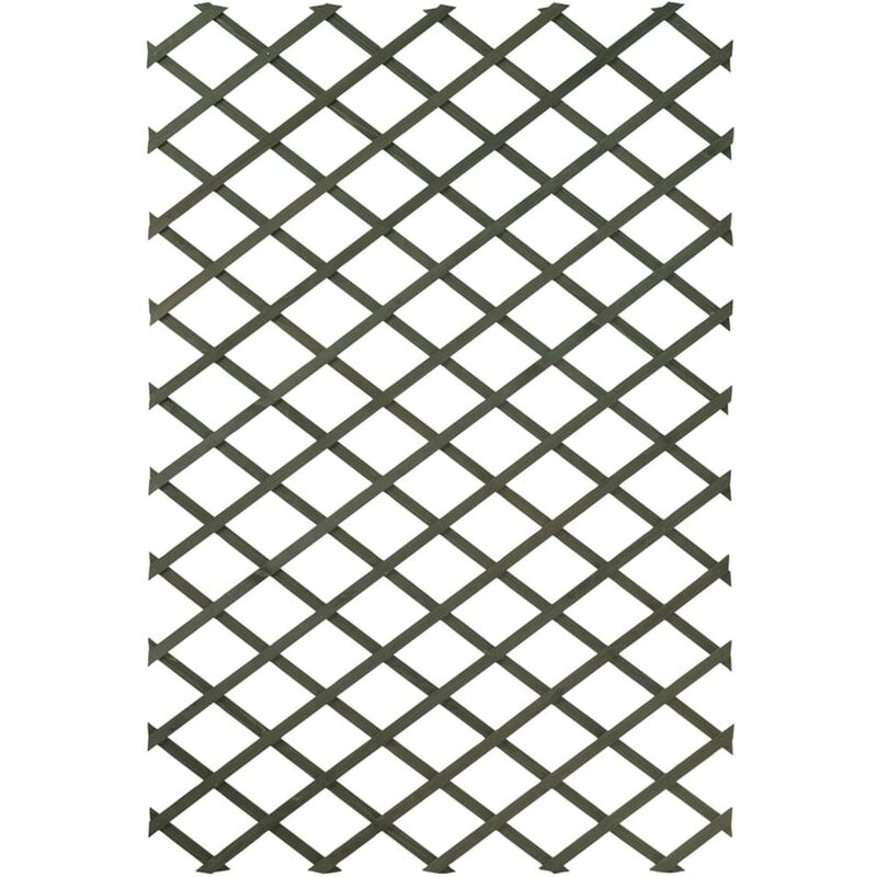 True Deal - Nature Palissades de jardin 2 pcs 100 x 200 cm Bois Vert