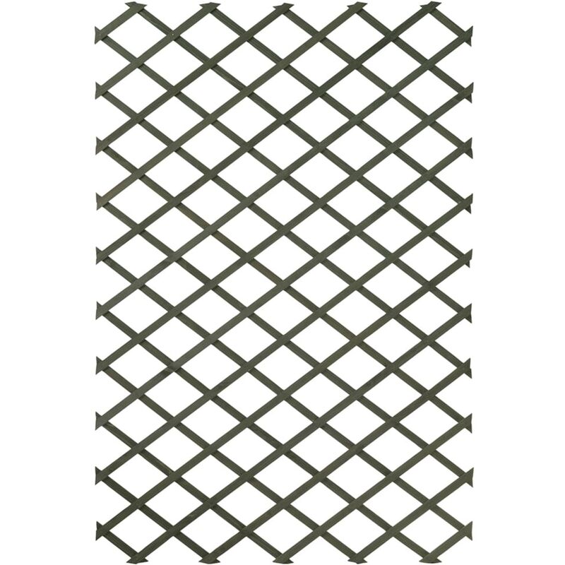 Palissades de jardin 2 pcs 100 x 200 cm Bois Vert - Nature