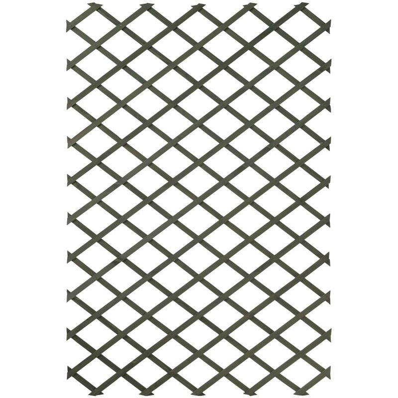True Deal - Nature Palissades de jardin 2 pcs Bois Vert 50 x 150 cm
