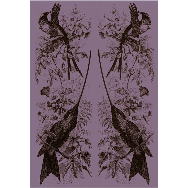 

NATURE - Póster Artístico Firmado - Pájaros - 40x60cm