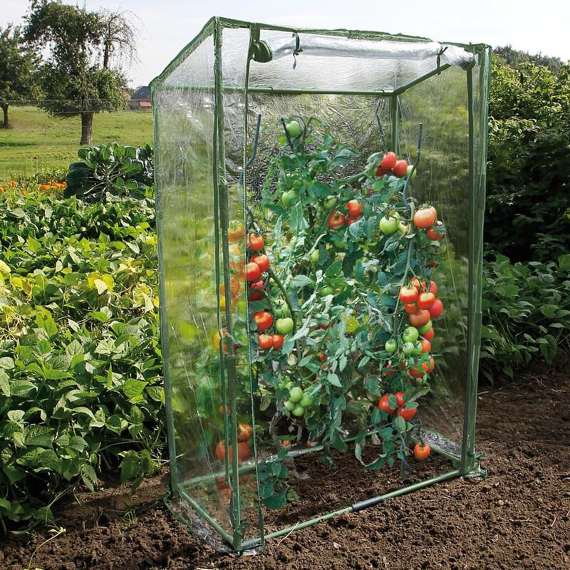 Nature Serre à tomates avec fermeture éclair et attaches Serre de jardin pvc 100x50x150 cm - Inlife
