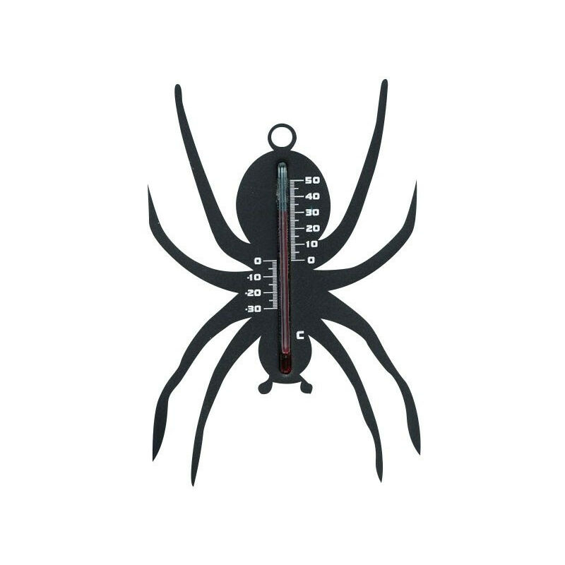 Nature - Thermométre extérieur Araignée en plastique 15x10cm