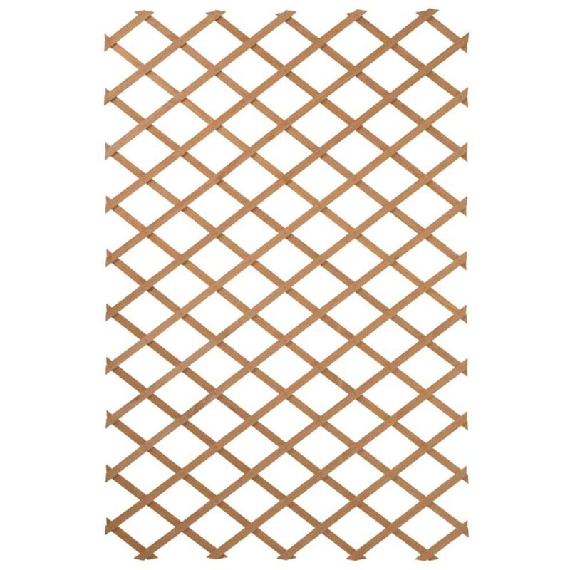 Palissade de jardin 100 x 200 cm Bois l - Nature