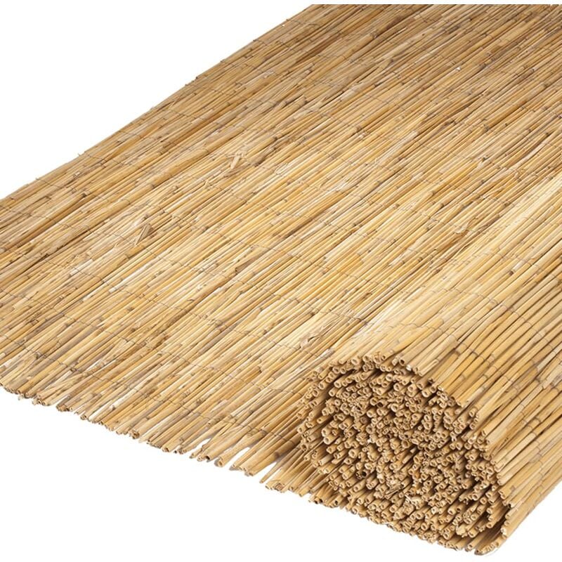 

Nature Vallas de jardín 2 unidades caña de bambú 500x150 cm - Beige