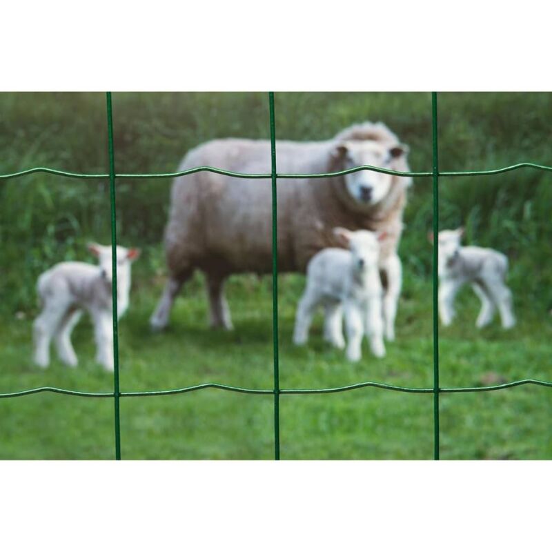 Nature Wire Mesh Rectangular 0.8x10 m Plastic Coated Steel Green Nature Wire Mesh Rectangular 0.8x10 m Plastic Coated Steel Green