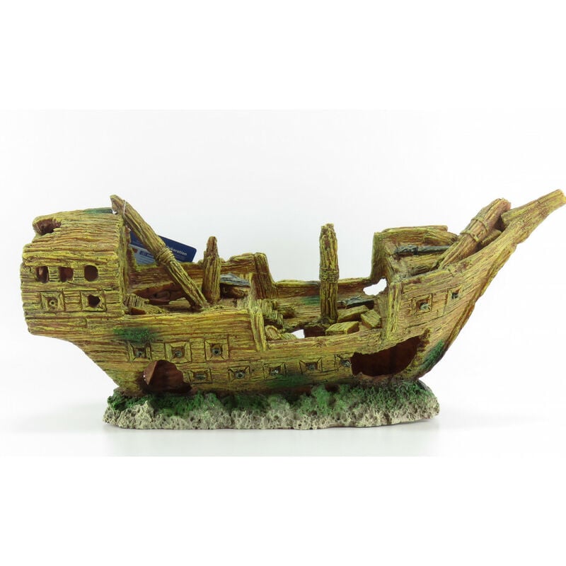 

Naufragio 36 cm