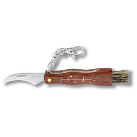 navaja recolectar setas inox 80 mm con mosqueton colgar 19002