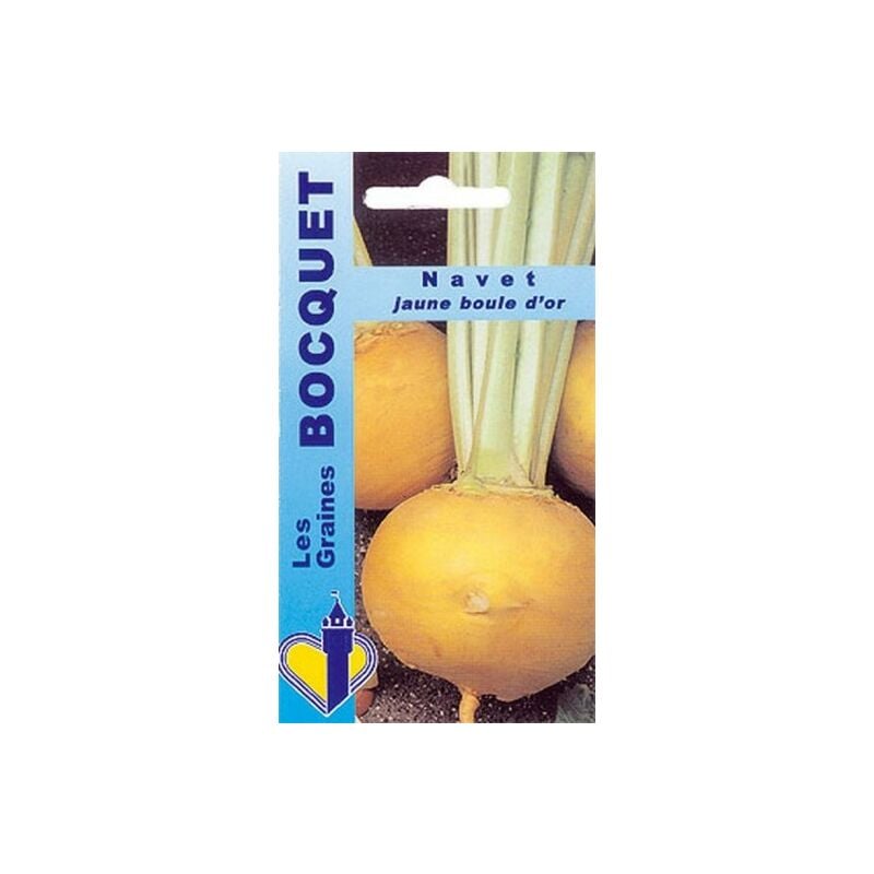 Graines Bocquet - Navet jaune Boule d'or - 6g