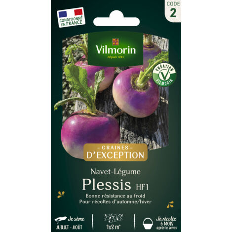 Navet-légume Plessis F1 - Graines d'Exception Vilmorin