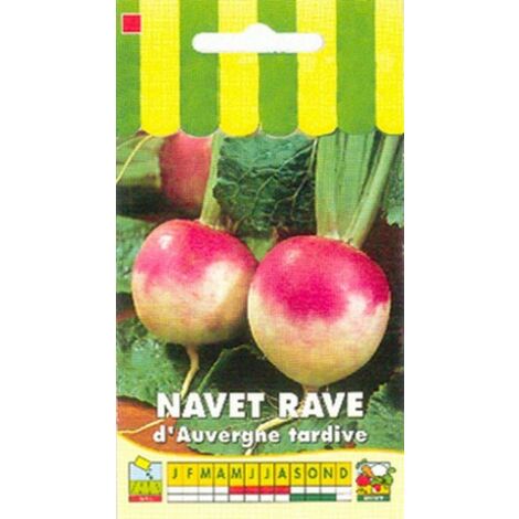 Navet rave d'Auvergne tardive - 5g