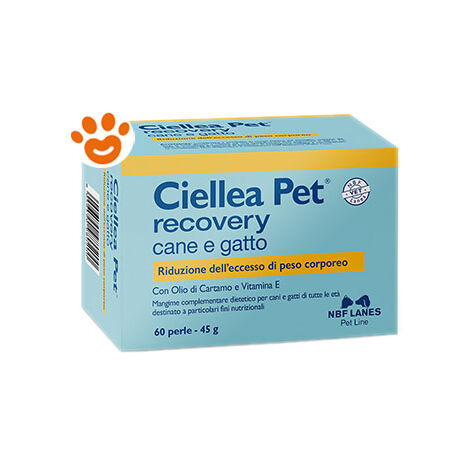 NBF Lanes Dog e Cat Ciellea Pet  - NBF Lanes Dog e Cat Ciellea Pet - Confezione da 60 Perle